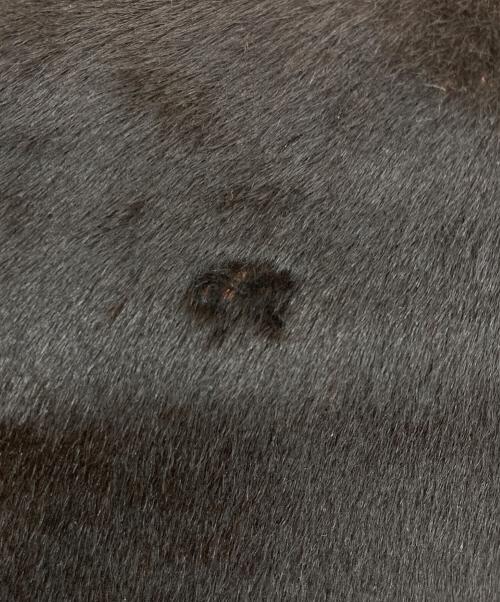 ANYA HINDMARCH（アニヤ・ハインドマーチ）ANYA HINDMARCH (アニヤ・ハインドマーチ) ハラコトートバッグ ブラウンの古着・服飾アイテム