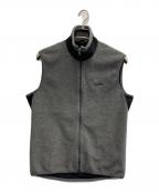 Patagoniaパタゴニア）の古着「00s フリースベスト」｜グレー