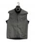 Patagonia（パタゴニア）の古着「00s フリースベスト」｜グレー