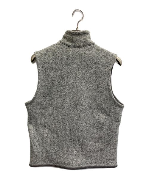 Patagonia（パタゴニア）Patagonia (パタゴニア) 15年製 Better Sweater Fleece Vest グレー サイズ:Mの古着・服飾アイテム