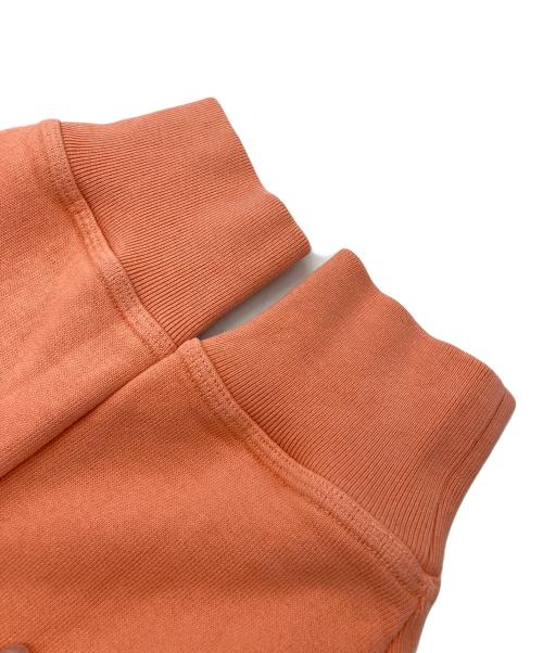 stussy（ステューシー）stussy (ステューシー) BASIC STUSSY PIG DYED CREW シャーベット サイズ:Mの古着・服飾アイテム