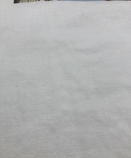 SUPREME（シュプリーム）SUPREME (シュプリーム) 19AW Banner Tee ホワイト サイズ:Mの古着・服飾アイテム