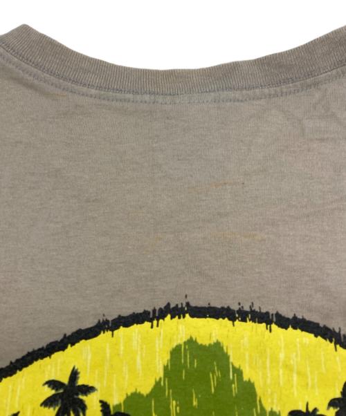 Patagonia Beneficial T's（パタゴニア ベネフィシャル ティーズ）Patagonia Beneficial T's (パタゴニア ベネフィシャル ティーズ) 90'S Tシャツ ベージュ サイズ:Mの古着・服飾アイテム