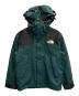 THE NORTH FACE（ザ ノース フェイス）の古着「Mountain Jacket」｜グリーン