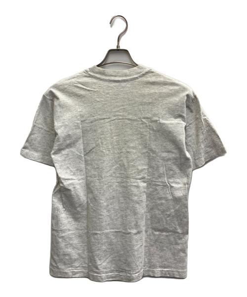 anvil（アンヴィル）anvil (アンヴィル) 90’S FLORIDA MARLINSTシャツ/ワーナー・ブラザーズ/1992年/MLB  グレー サイズ:Mの古着・服飾アイテム