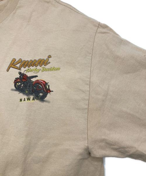 HARLEY-DAVIDSON（ハーレーダビッドソン）HARLEY-DAVIDSON (ハーレーダビッドソン) ピンナップガール モーターサイクル バイクTシャツ ブラウン サイズ:XLの古着・服飾アイテム