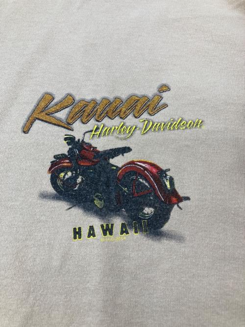 HARLEY-DAVIDSON（ハーレーダビッドソン）HARLEY-DAVIDSON (ハーレーダビッドソン) ピンナップガール モーターサイクル バイクTシャツ ブラウン サイズ:XLの古着・服飾アイテム