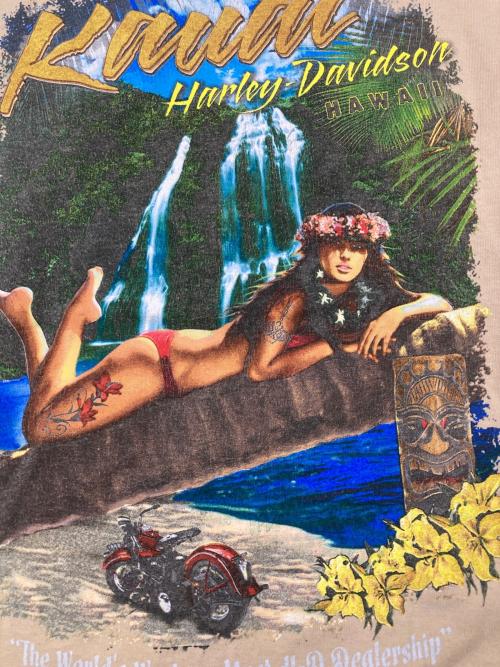 HARLEY-DAVIDSON（ハーレーダビッドソン）HARLEY-DAVIDSON (ハーレーダビッドソン) ピンナップガール モーターサイクル バイクTシャツ ブラウン サイズ:XLの古着・服飾アイテム