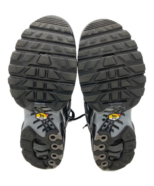 NIKE（ナイキ）NIKE (ナイキ) Nike Air Max Plus Black ブラック サイズ:26の古着・服飾アイテム