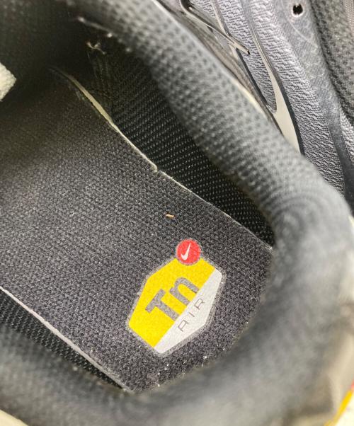 NIKE（ナイキ）NIKE (ナイキ) Nike Air Max Plus Black ブラック サイズ:26の古着・服飾アイテム