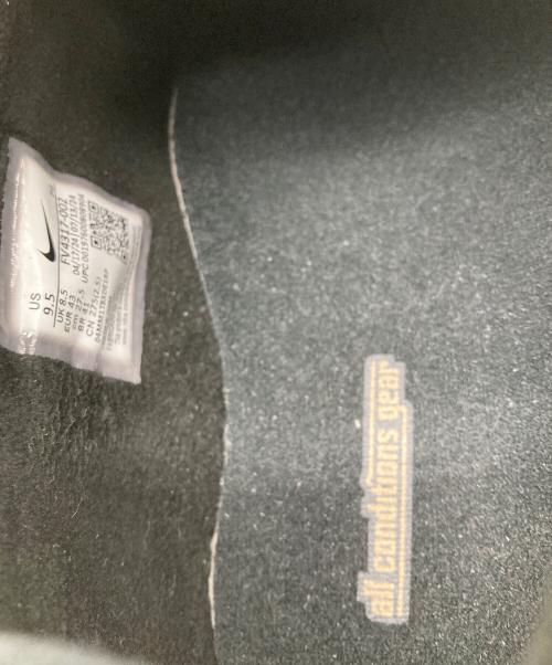 NIKE ACG（ナイキエーシージー）NIKE ACG (ナイキエーシージー) ローカットスニーカー/イジー ブラック サイズ:27.5の古着・服飾アイテム