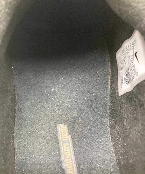 NIKE ACG（ナイキエーシージー）NIKE ACG (ナイキエーシージー) ローカットスニーカー/イジー ブラック サイズ:27.5の古着・服飾アイテム