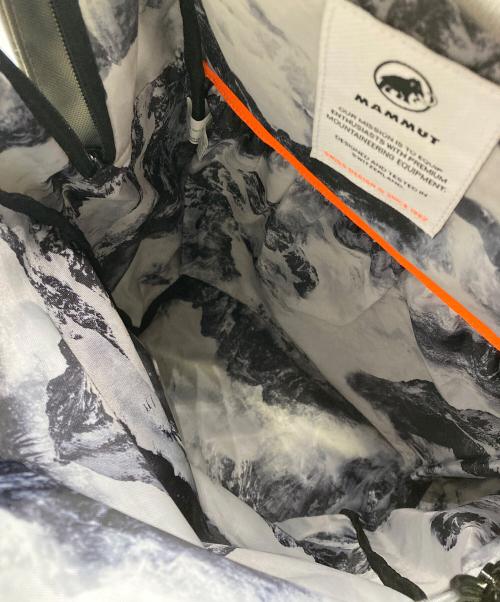 MAMMUT（マムート）MAMMUT (マムート) ar/mg バックパック グレーの古着・服飾アイテム