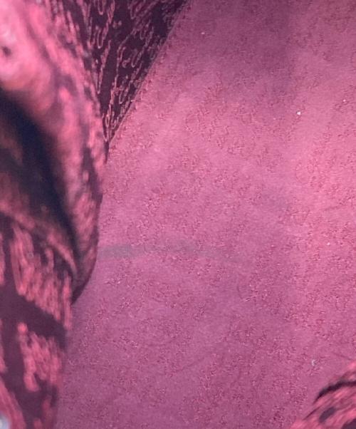 Cartier（カルティエ）Cartier (カルティエ) ハンドバッグ/マストライン ボルドーの古着・服飾アイテム