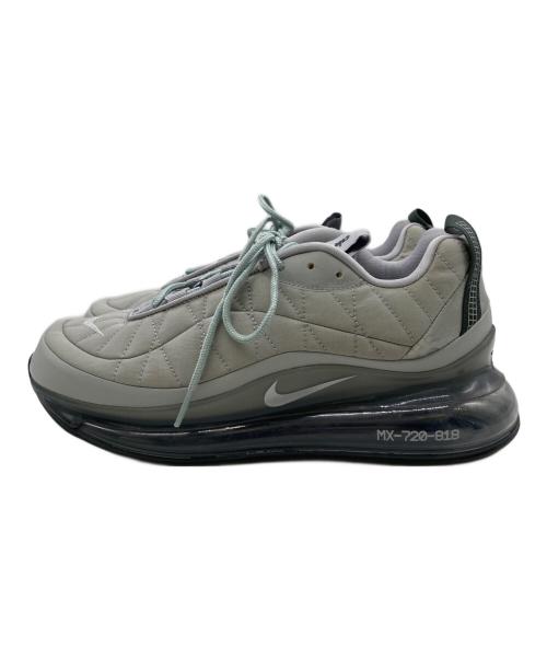 NIKE（ナイキ）NIKE (ナイキ) ローカットスニーカー グレー サイズ:26.5㎝の古着・服飾アイテム