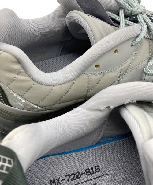 NIKE（ナイキ）NIKE (ナイキ) ローカットスニーカー グレー サイズ:26.5㎝の古着・服飾アイテム