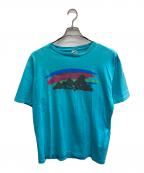 Patagoniaパタゴニア）の古着「USA/90'STシャツ」｜スカイブルー