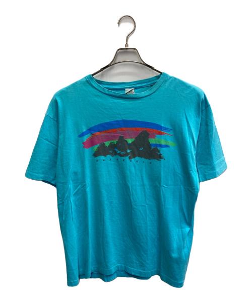 Patagonia（パタゴニア）Patagonia (パタゴニア) USA/90'STシャツ スカイブルー サイズ:Lの古着・服飾アイテム