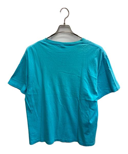 Patagonia（パタゴニア）Patagonia (パタゴニア) USA/90'STシャツ スカイブルー サイズ:Lの古着・服飾アイテム