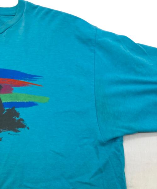 Patagonia（パタゴニア）Patagonia (パタゴニア) USA/90'STシャツ スカイブルー サイズ:Lの古着・服飾アイテム