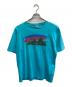 Patagonia（パタゴニア）の古着「USA/90'STシャツ」｜スカイブルー