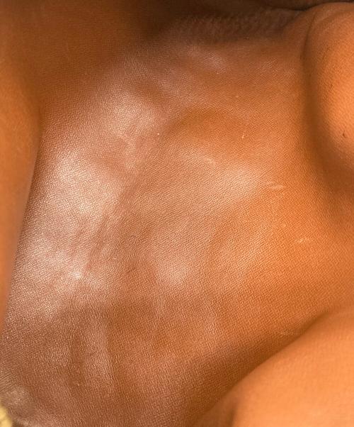 LOUIS VUITTON（ルイ ヴィトン）LOUIS VUITTON (ルイ ヴィトン) パピヨンGM ハンドバッグ  モノグラム  ブラウンの古着・服飾アイテム