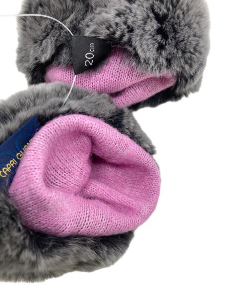 AltaClasse CAPRIGUANTI（アルタクラッセ カプリガンティ）AltaClasse CAPRIGUANTI (アルタクラッセ カプリガンティ) 手袋 ブラック サイズ:20ｃｍの古着・服飾アイテム