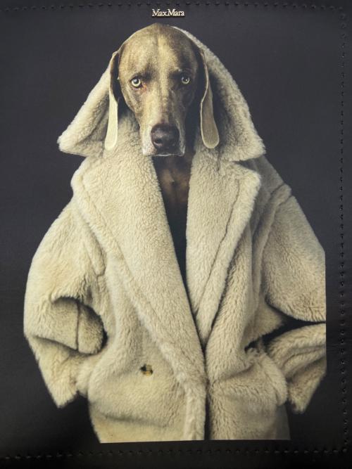 MaxMara（マックスマーラ）MaxMara (マックスマーラ) TEDDY DOG トートバッグ ブラウン×ベージュの古着・服飾アイテム