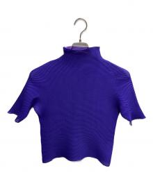 ISSEY MIYAKE PLEATS(T.)（イッセイミヤケ プリーツ）の古着「プリーツカットソー」｜パープル×ネイビー