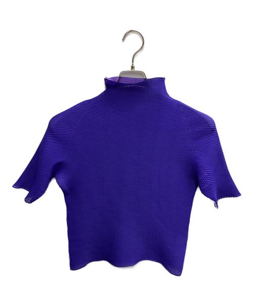 ISSEY MIYAKE PLEATS(T.)（イッセイミヤケ プリーツ）ISSEY MIYAKE PLEATS(T.) (イッセイミヤケ プリーツ) プリーツカットソー パープル×ネイビー サイズ:Mの古着・服飾アイテム