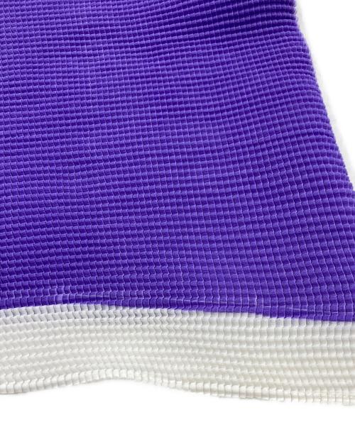 ISSEY MIYAKE PLEATS(T.)（イッセイミヤケ プリーツ）ISSEY MIYAKE PLEATS(T.) (イッセイミヤケ プリーツ) プリーツカットソー パープル×ネイビー サイズ:Mの古着・服飾アイテム