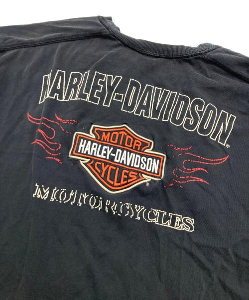 HARLEY-DAVIDSON（ハーレーダビッドソン）HARLEY-DAVIDSON (ハーレーダビッドソン) 袖フレイムロングスリーブカットソー ブラック サイズ:XLの古着・服飾アイテム