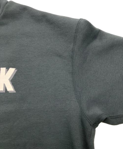 THE NORTH FACE（ザ ノース フェイス）THE NORTH FACE (ザ ノース フェイス) LAYBACK CREW アスファルトグレー サイズ:M 未使用品の古着・服飾アイテム