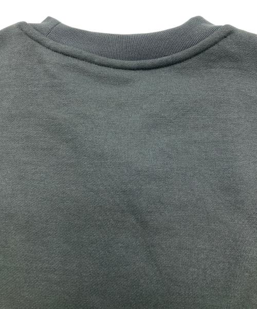 THE NORTH FACE（ザ ノース フェイス）THE NORTH FACE (ザ ノース フェイス) LAYBACK CREW アスファルトグレー サイズ:M 未使用品の古着・服飾アイテム