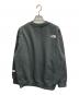 THE NORTH FACE (ザ ノース フェイス) LAYBACK CREW アスファルトグレー サイズ:M 未使用品：12000円