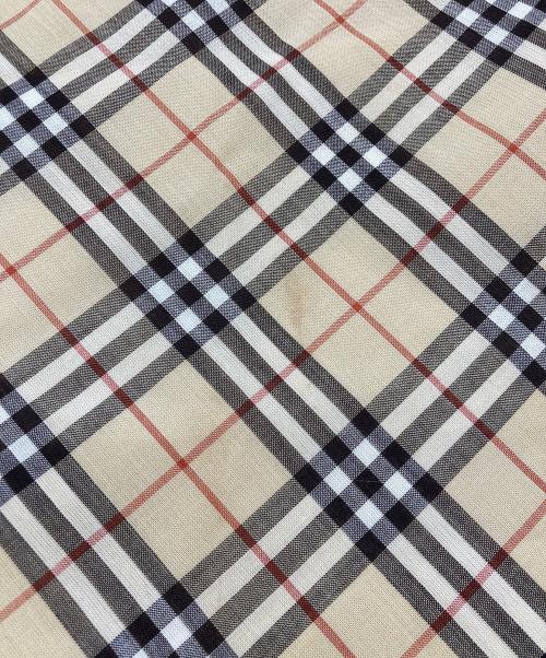 BURBERRY BLUE LABEL（バーバリー ブルー レーベル）BURBERRY BLUE LABEL (バーバリー ブルー レーベル) ノバチェックスカート ベージュ サイズ:36の古着・服飾アイテム