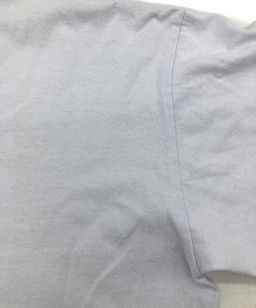 stussy（ステューシー）stussy (ステューシー) プリントTシャツ ブルー サイズ:Mの古着・服飾アイテム