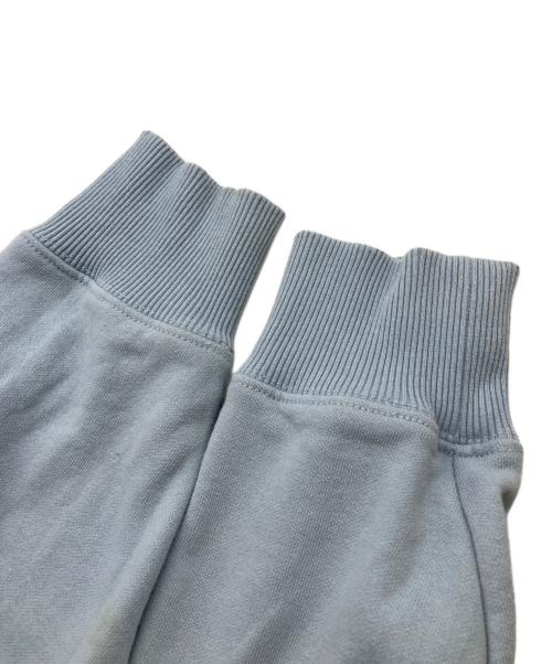 stussy（ステューシー）stussy (ステューシー) BASIC STUSSY HOODIE スカイブルー サイズ:Sの古着・服飾アイテム