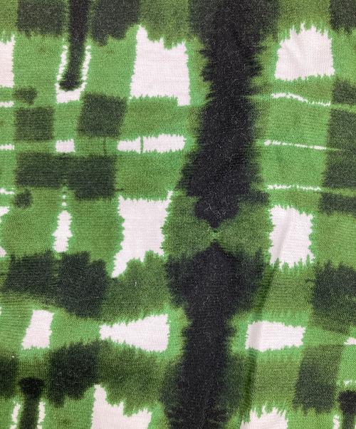 plantation（プランテーション）Plantation (プランテーション) ニジミチェックカットソー グリーン サイズ:2の古着・服飾アイテム