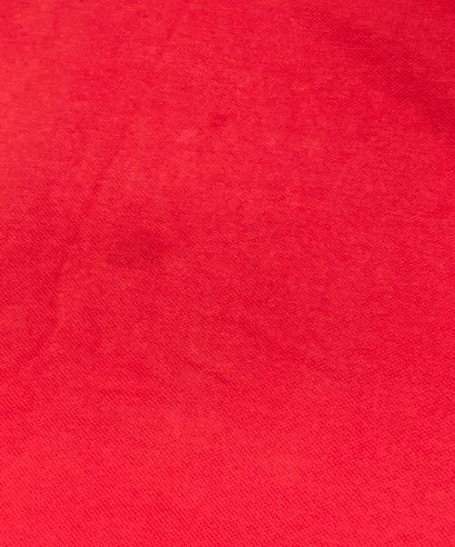 POLO RALPH LAUREN（ポロ・ラルフローレン）POLO RALPH LAUREN (ポロ・ラルフローレン) CUSTOM FIT 刺繍ポロシャツ レッド サイズ:XXLの古着・服飾アイテム