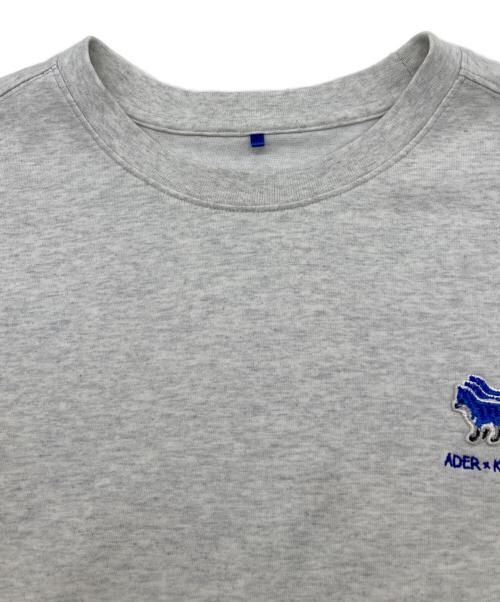 ADER error（アーダーエラー）ADER error (アーダーエラー) maison kitsune (メゾンキツネ) ロゴTEE グレー サイズ:A2の古着・服飾アイテム