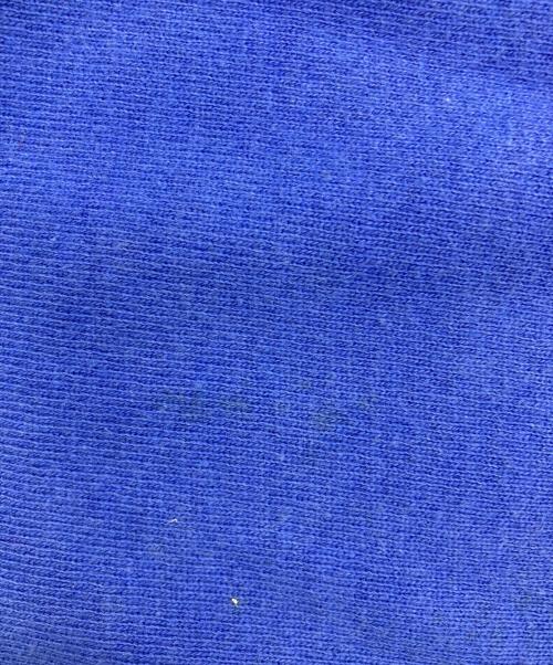 Champion REVERSE WEAVE（チャンピオン リバース ウィーブ）Champion REVERSE WEAVE (チャンピオン リバース ウィーブ) リバースウィーブスウェット ブルー サイズ:Lの古着・服飾アイテム