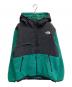 THE NORTH FACE（ザ ノース フェイス）の古着「Denali Hoodie」｜グリーン×ブラック
