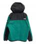 THE NORTH FACE (ザ ノース フェイス) Denali Hoodie グリーン×ブラック サイズ:L：12000円