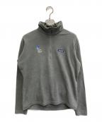 Patagonia SYNCHILLAパタゴニア シンチラ）の古着「26267F0　シンチラマイクロD フリース ハーフジップ プルオーバー」｜グレー