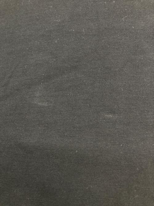 LACOSTE（ラコステ）LACOSTE (ラコステ) アウトラインクロッククルーネックTシャツ ブラック サイズ:US Sの古着・服飾アイテム