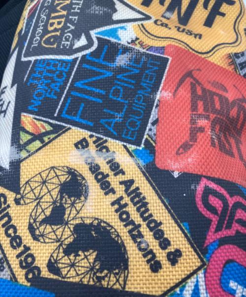 THE NORTH FACE（ザ ノース フェイス）THE NORTH FACE (ザ ノース フェイス) ステッカープリントBC FUSE BOX ブルー×レッドの古着・服飾アイテム