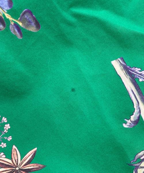 CABAN（キャバン）CABaN (キャバン) NEW BOTANICAL コットン ロングスカート グリーン サイズ:FREEの古着・服飾アイテム