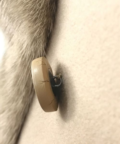 FENDI（フェンディ）FENDI (フェンディ) ミンクファーポケットダブルコート ベージュ サイズ:SIZE 36の古着・服飾アイテム