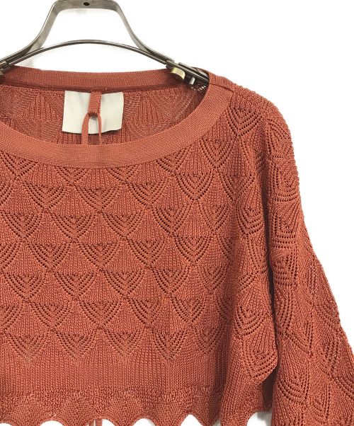 TAN（タン）TAN (タン) レースショートトップス ブラウン サイズ:Fの古着・服飾アイテム